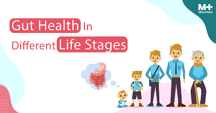 Gut Health In Different Life Stages
